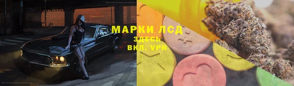 гидропоника Белоозёрский