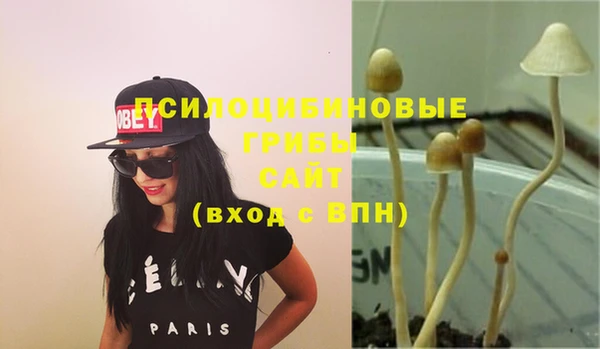 гидропоника Белоозёрский