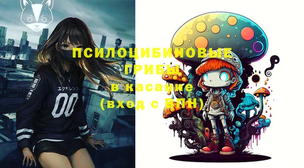 твердый Белокуриха