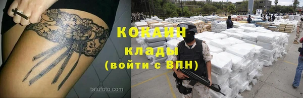 твердый Белокуриха