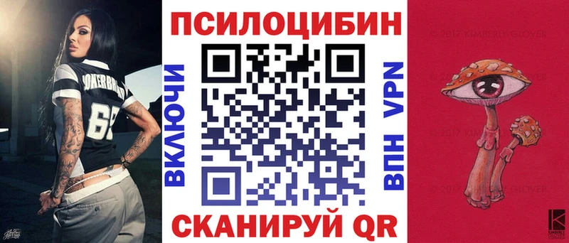 продажа наркотиков  Шадринск  Галлюциногенные грибы Cubensis 
