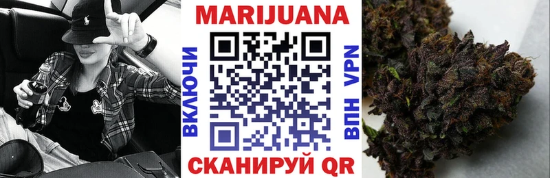 сколько стоит Шадринск Конопля OG Kush